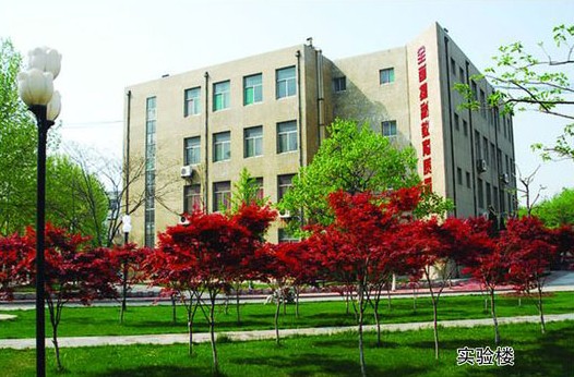 淄博市工業(yè)學(xué)校開(kāi)設(shè)哪些計(jì)算機(jī)課程？