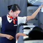 航空服務(wù)（票務(wù)、安檢方向）、航空乘務(wù)定向委培